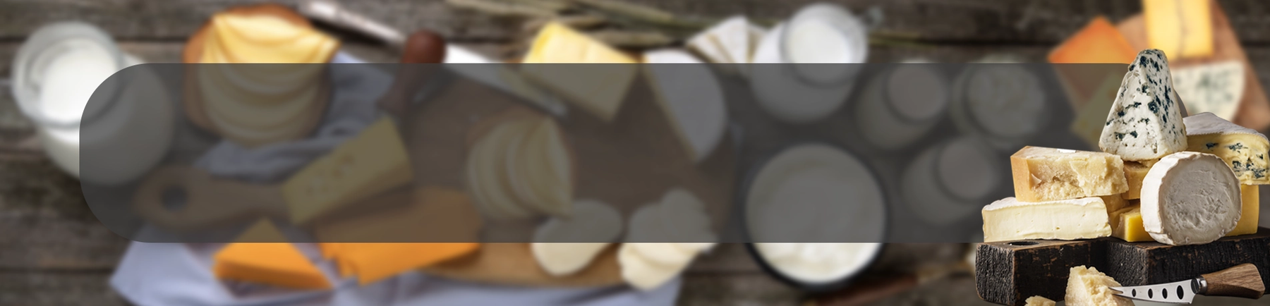 Dairy ApplicationPage Banner-Block Cheese.webp