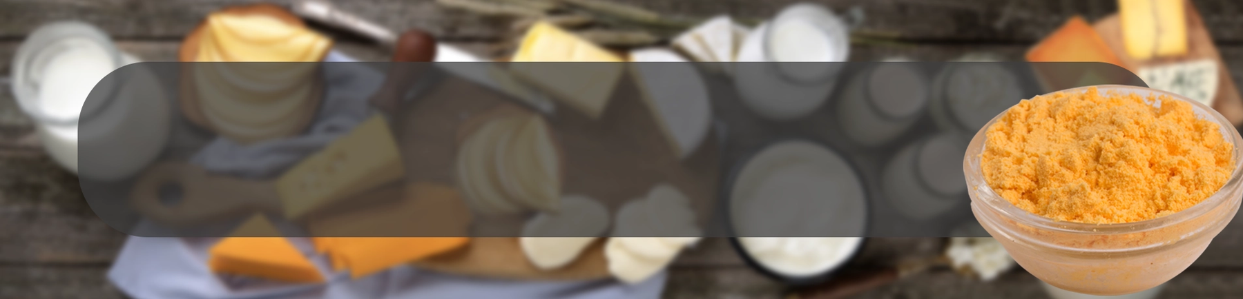 Dairy ApplicationPage Banner-Powder Cheese.webp