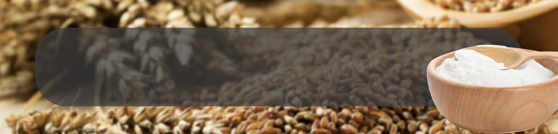 Grains ApplicationPage Banner-Baking Powder.webp