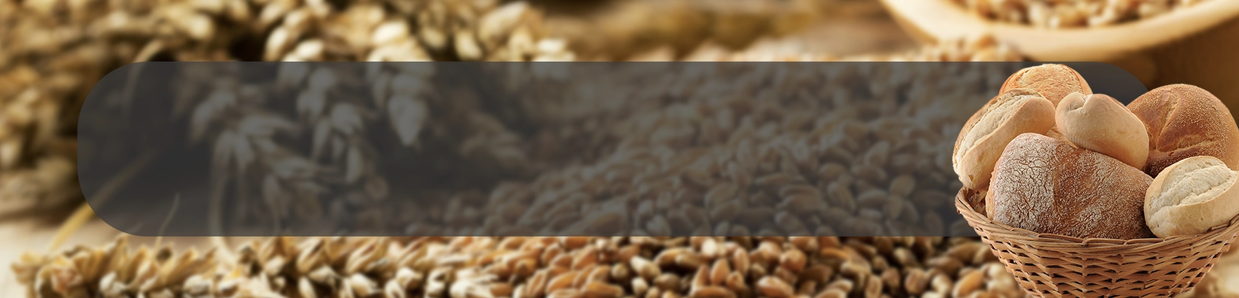 Grains ApplicationPage Banner-Bread.webp