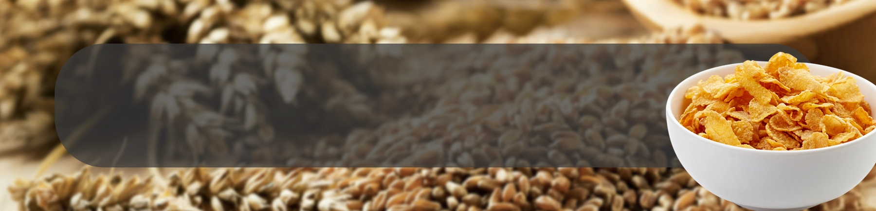 Grains ApplicationPage Banner-Cereal.webp