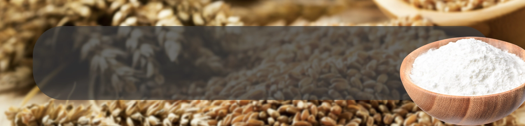 Grains ApplicationPage Banner-Flour.webp