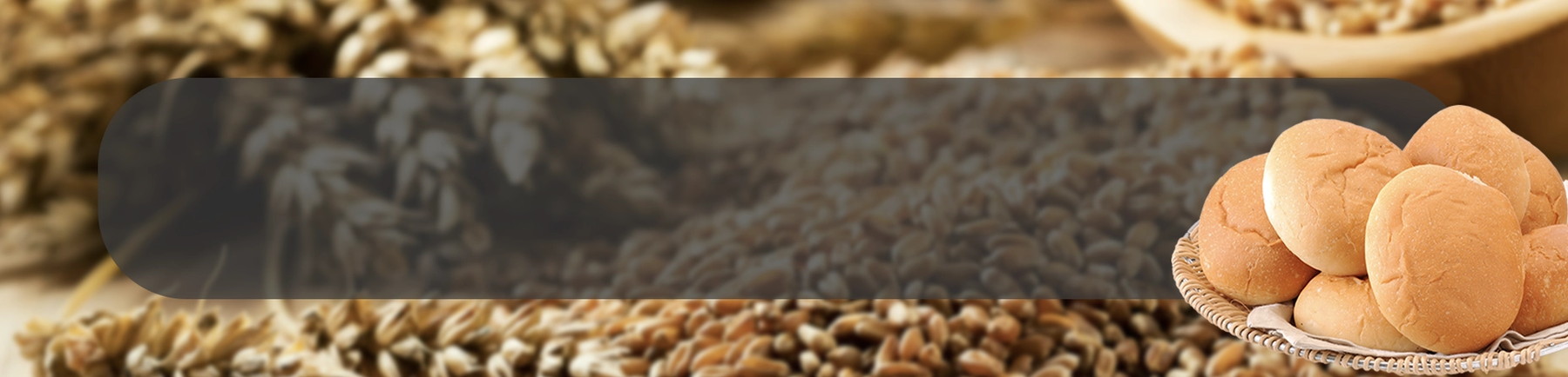 Grains ApplicationPage Banner-Hamburger Buns.webp