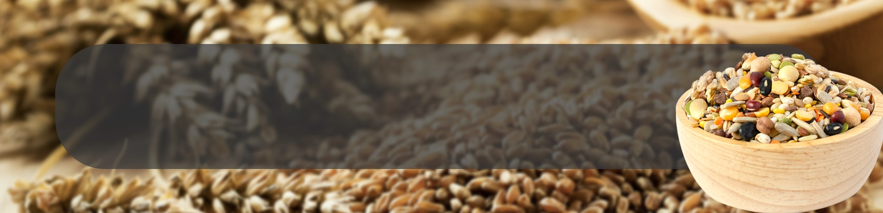 Grains ApplicationPage Banner-Raw Grains.webp