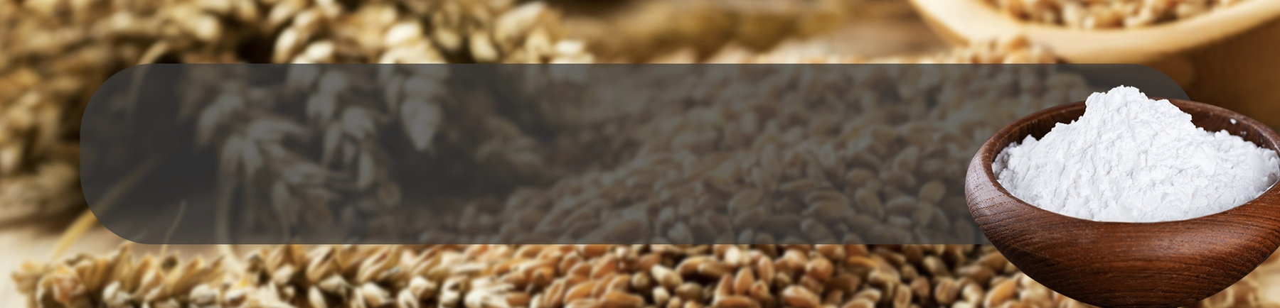Grains ApplicationPage Banner-Starch.webp