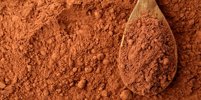 Cocoa powder and wooden spoon