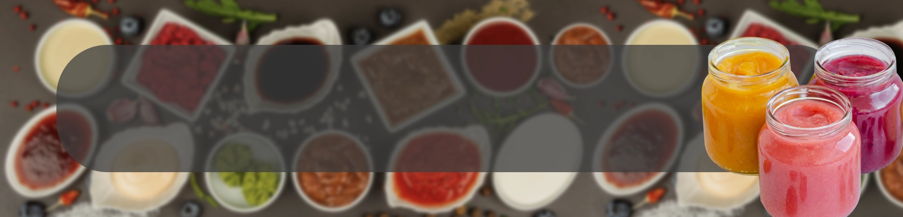 Purees ApplicationPage Banner-Baby Food.webp