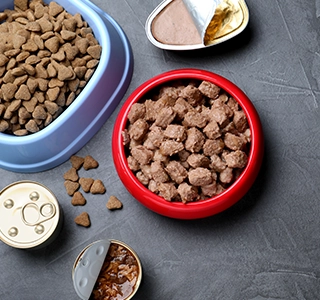 Food-industry-pet-food-1