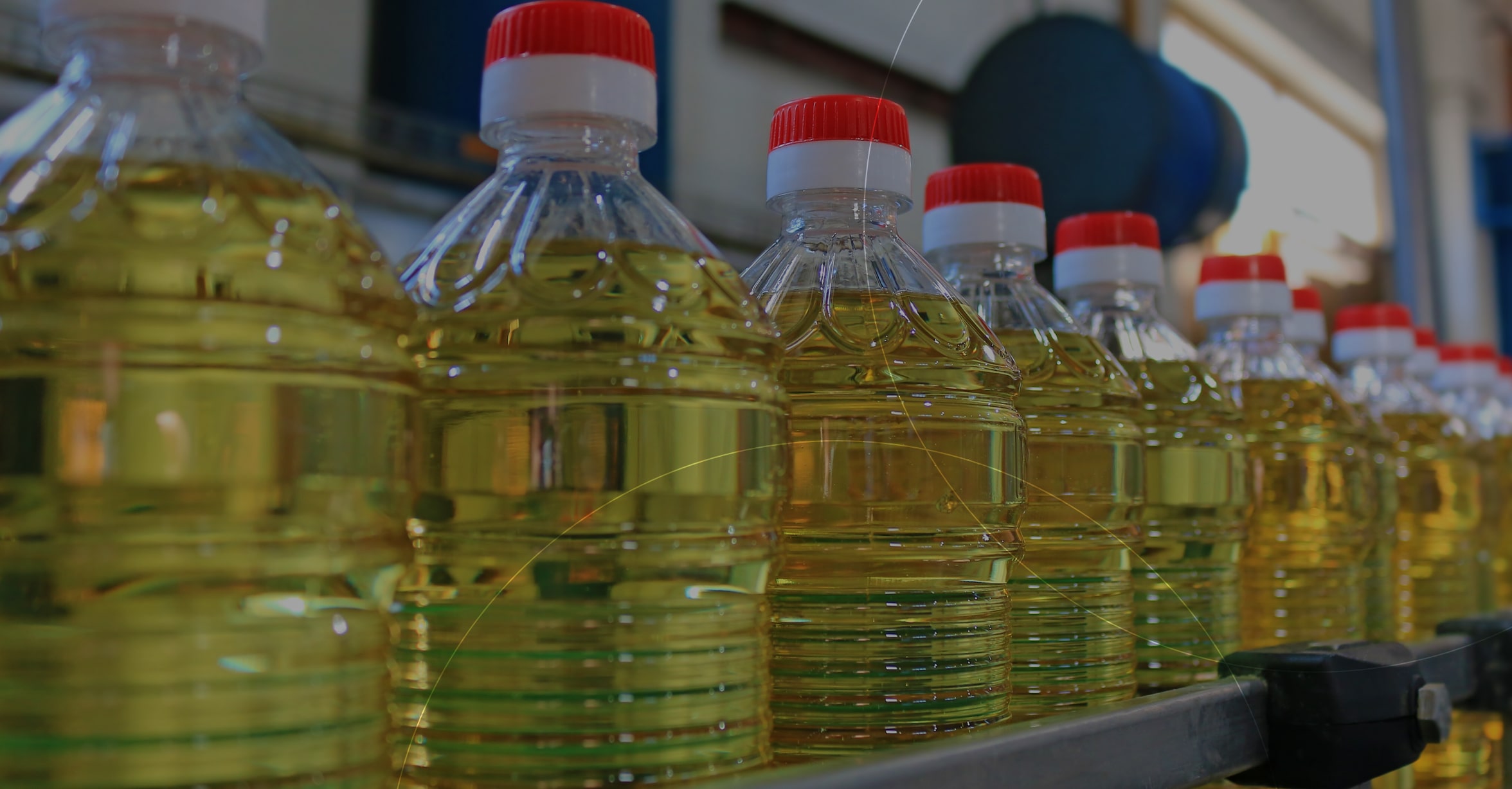 A row of bottled cooking oil